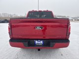 New 2025 Ford F150 XLT w/ Equipment Group 302A MID image 4