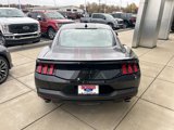 New 2024 Ford Mustang GT Premium image 5