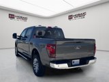 New 2025 Ford F150 XLT w/ Equipment Group 303A High image 5