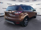 Used 2017 Ford Escape SE w/ SE Leather Comfort Package image 5