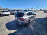 Used 2023 Ford Escape ST-Line image 6