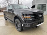 New 2025 Ford F150 XLT image 2
