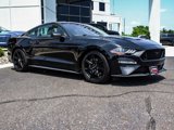 Used 2020 Ford Mustang GT Premium w/ Black Accent Package image 3