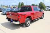 Used 2024 Ford F150 XLT w/ Equipment Group 302A MID image 5