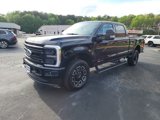 New 2025 Ford F250 Platinum image 1