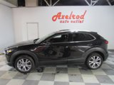 Used 2022 MAZDA CX-30 AWD 2.5 S w/ Premium Package image 2