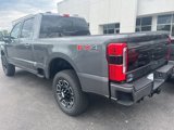 New 2025 Ford F350 Platinum image 3