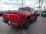 New 2025 Ford F150 XLT w/ Equipment Group 302A MID image 6