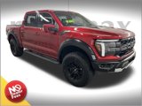 Certified 2024 Ford F150 Raptor image 1