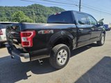 Used 2019 Ford F150 XLT w/ Equipment Group 301A Mid image 4