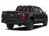 New 2025 Ford F150 Platinum image 2
