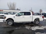 New 2025 Ford F150 XLT w/ Equipment Group 302A MID image 5