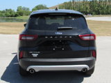 New 2025 Ford Escape Active image 2