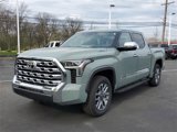 New 2025 Toyota Tundra 1794 Edition image 2