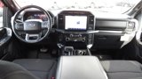 Certified 2022 Ford F150 XLT w/ Equipment Group 302A High image 2