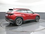 New 2026 Hyundai Tucson Limited image 5