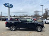 New 2025 Ford F150 XLT w/ Equipment Group 302A MID image 6