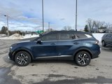 Used 2023 Kia Sportage EX w/ EX Premium Package image 4