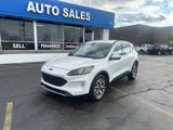 Used 2020 Ford Escape Titanium image 4