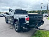 Used 2023 Toyota Tacoma TRD Off-Road image 5