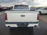 New 2025 Ford F150 Lariat w/ Equipment Group 501A Mid image 4