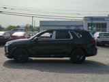 New 2025 Hyundai Palisade Calligraphy image 4
