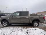 New 2025 Ford F150 XLT w/ Equipment Group 302A MID image 4