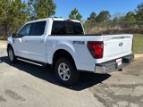 New 2025 Ford F150 XLT image 3