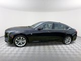 New 2025 Cadillac CT5 Premium Luxury image 2
