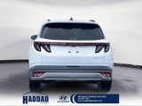New 2025 Hyundai Tucson SEL image 4
