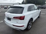 Used 2024 Audi Q5 2.0T Premium Plus w/ Premium Plus Package image 5