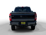New 2025 Ford F250 Platinum image 4