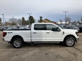 New 2025 Ford F150 XLT w/ Equipment Group 302A MID image 5