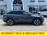 Used 2022 Hyundai Tucson Limited w/ Cargo Package image 5