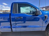 New 2025 Ford F150 XL w/ Equipment Group 103A High image 5