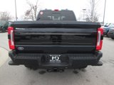 New 2025 Ford F250 Platinum image 5