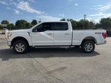 Used 2022 Ford F150 XLT w/ Equipment Group 302A High image 5