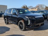 New 2025 Hyundai Palisade Calligraphy image 5