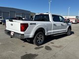 New 2025 Ford F150 XLT w/ Equipment Group 301A Standard image 4