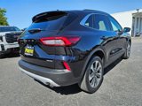Used 2024 Ford Escape Platinum image 3