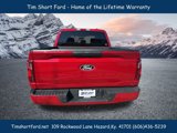 New 2025 Ford F150 XLT w/ Equipment Group 301A Standard image 5