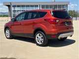 Used 2019 Ford Escape SE image 6