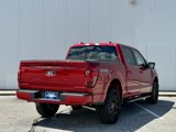 New 2025 Ford F150 XLT w/ Equipment Group 302A MID image 5