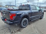 New 2025 Ford F150 XLT image 3