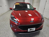 Used 2022 Ford Escape SEL image 3