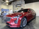 Used 2019 Cadillac CT6 Sport image 5
