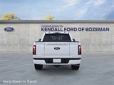 New 2025 Ford F150 Platinum image 5