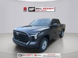 New 2025 Toyota Tundra SR5 image 3