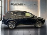 New 2025 Lexus NX 300h AWD w/ Luxury Package image 2