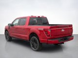 New 2025 Ford F150 Platinum image 3
